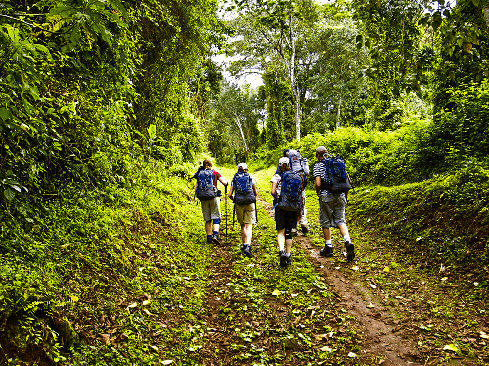 6 days marangu route 1 (1) (1)