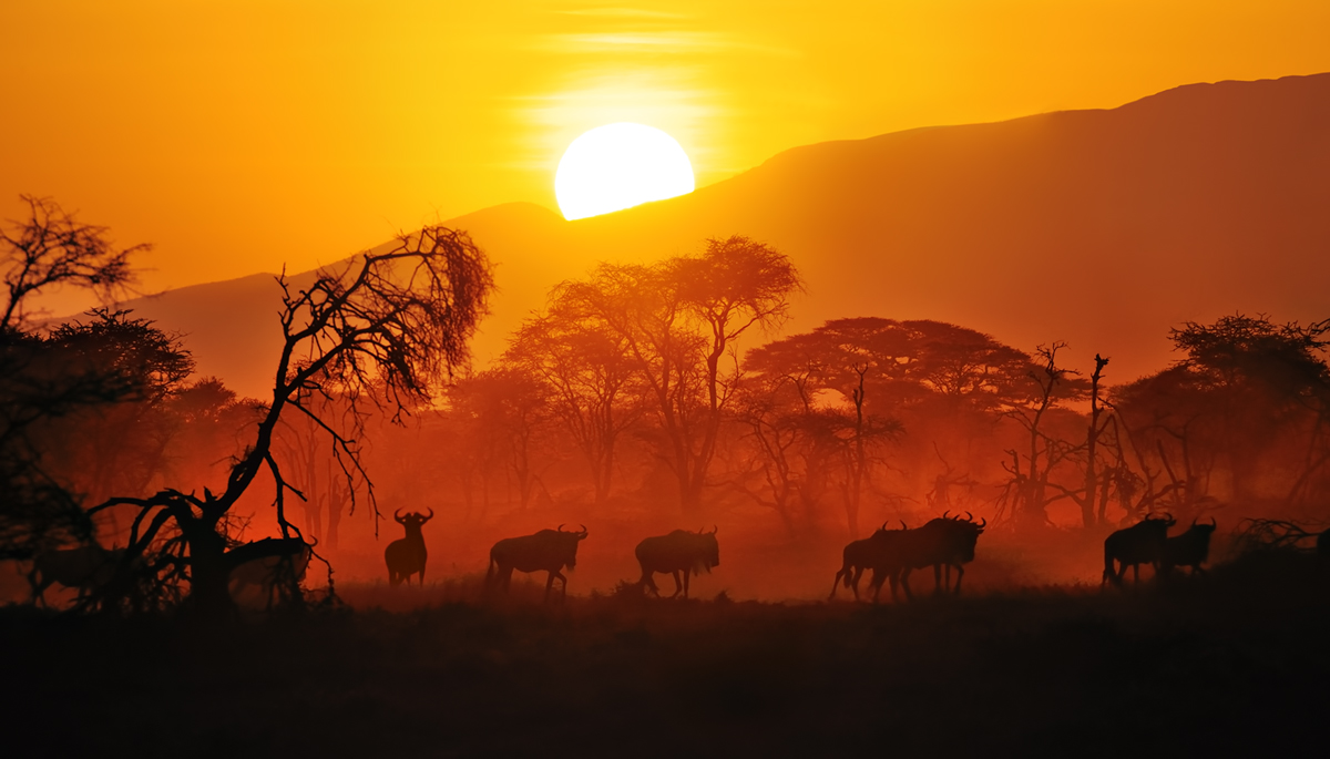 migration