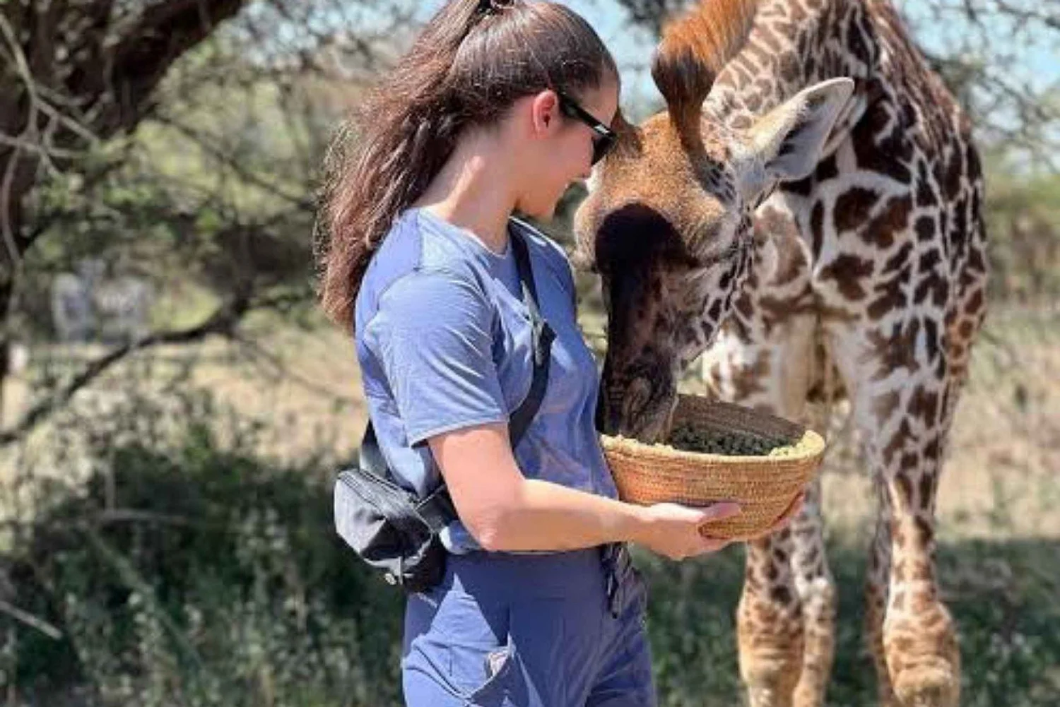 serval wildlife safari
