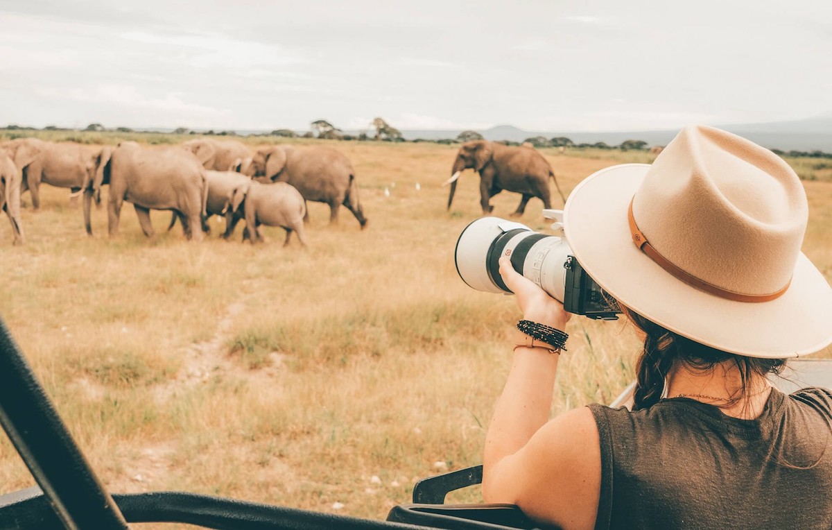 wildlife safari